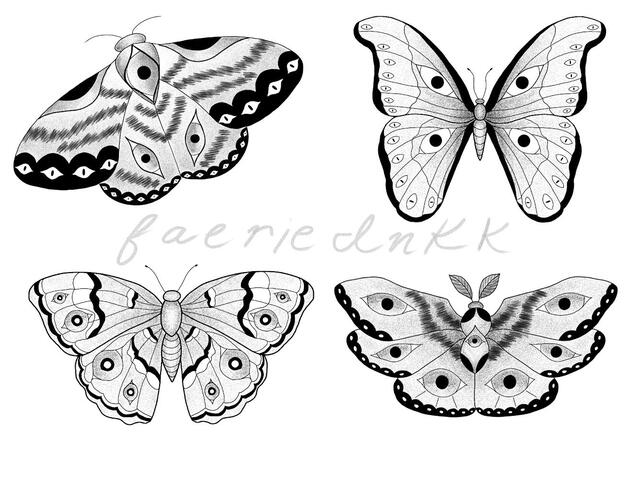 Moth &amp; Butterfly Flash Sheet done Digitally