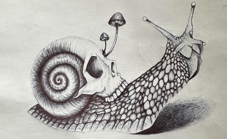 Snail Skull done in Pen